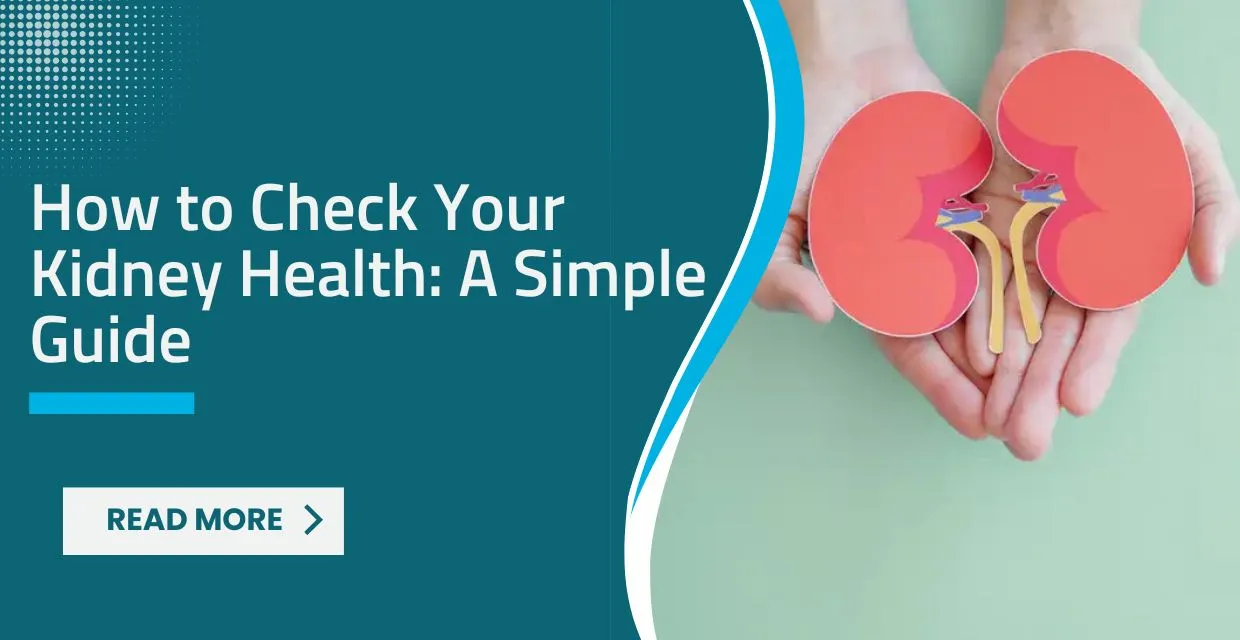 Kidney Health and Renal Care