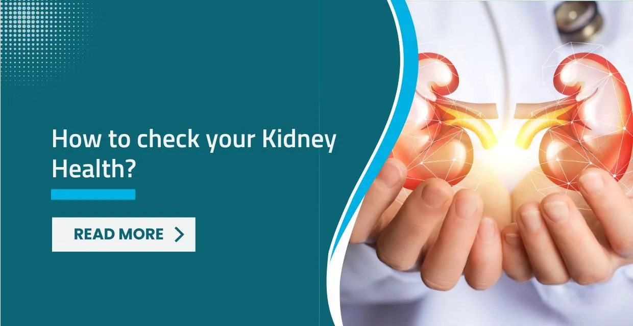 Empower Your Filters: A Practical Guide to Checking Your Kidney Health